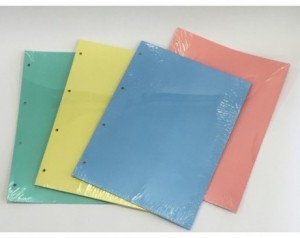 Pregradni karton a4 210x297...