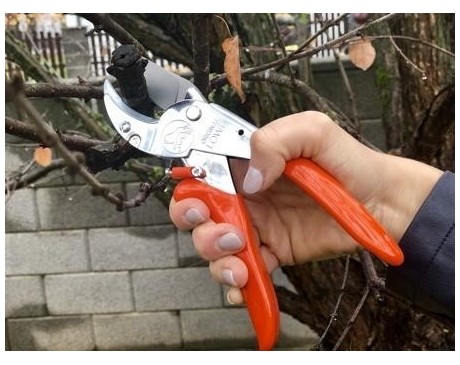 Škarje Löwe 10, zakrivljen ročaj