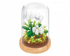 Kocke cvetje v posodi - Jasmin