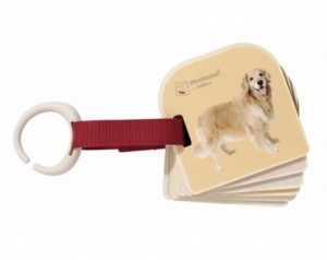 Eichhorn Montessori lesena...