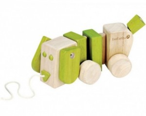 EverEarth Lesen kužek