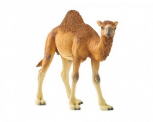 Schleich figura Kamela