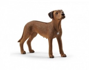 Schleich figura Rodezijski...