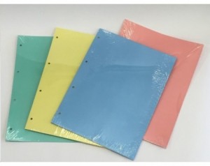 Pregradni karton a4 elisa...