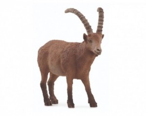 Schleich figura Kozorog 14873