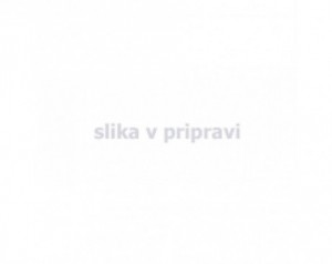 Kart Kompatibilna Epson...